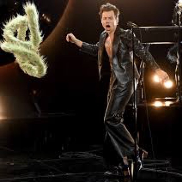 Meet your Posher, Kaitlie - Picture 6 of 7